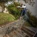 Ratas Sympathy Devin Szydlowski 115 Signature