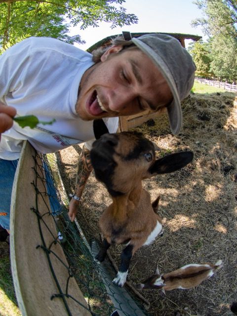 Marškinėliai RICH Dollar Goat